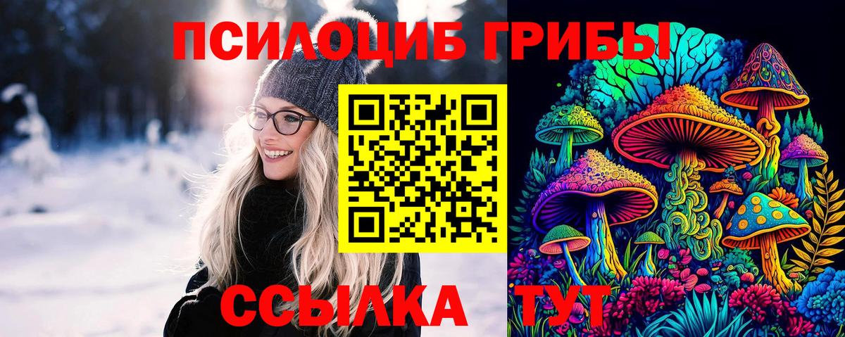 Псилоцибиновые грибы Psilocybine cubensis Старая Купавна