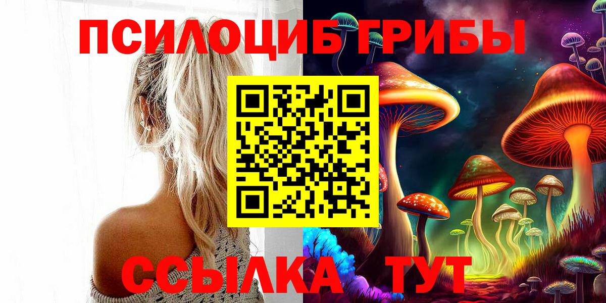 Псилоцибиновые грибы мицелий  Вход с VPN  Старая Купавна 